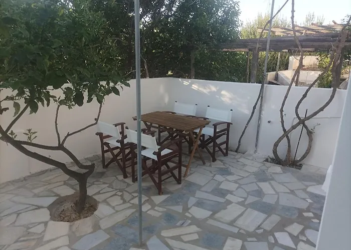 Lemon Tree 2 * Párosz