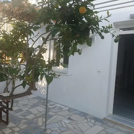 Lemon Tree 2 * Páros